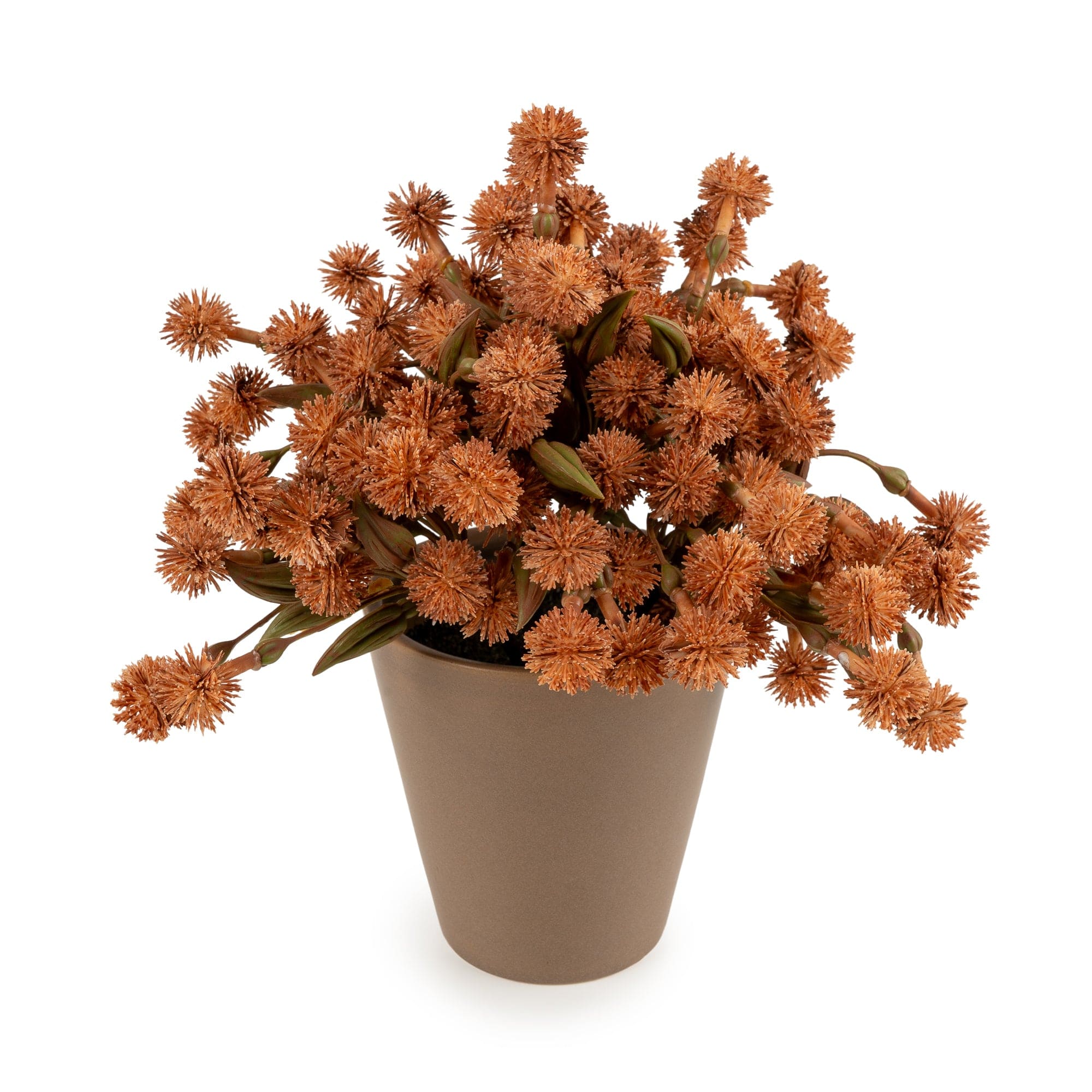 Russet Orange Faux Allium in Pot