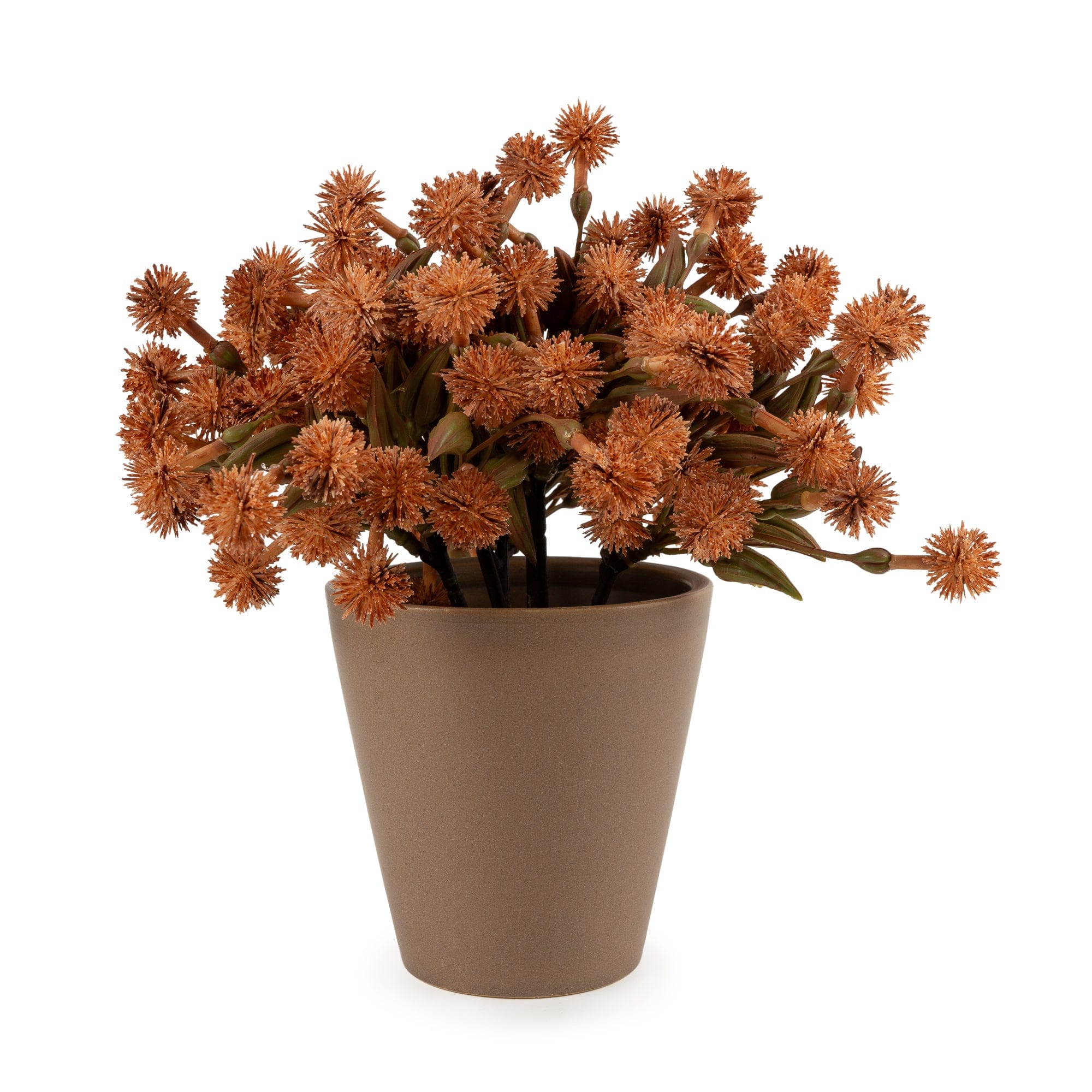 Russet Orange Faux Allium in Pot