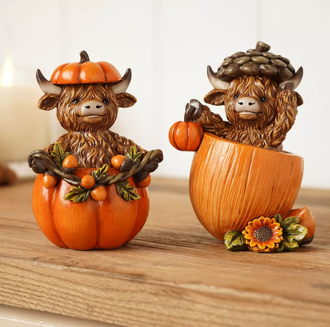 BACK OCT Highland Cow In Pumpkin or Acorn