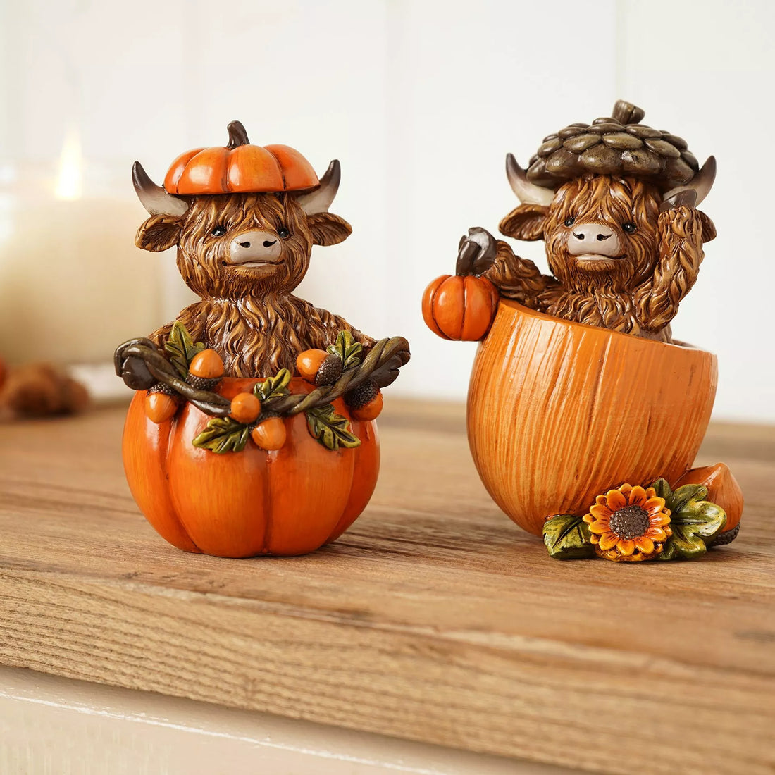 BACK OCT Highland Cow In Pumpkin or Acorn