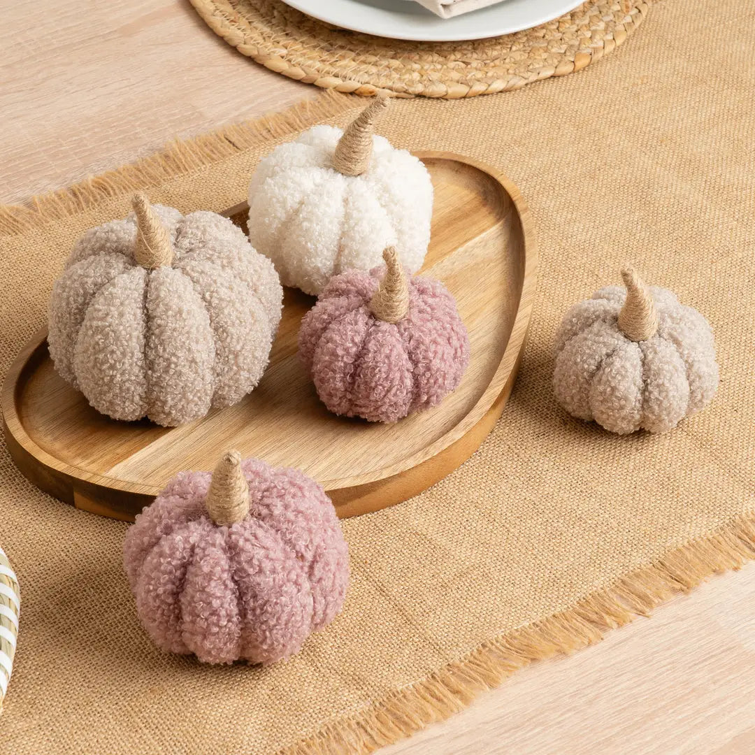 Set of 5 Pastel Boucle Pumpkins