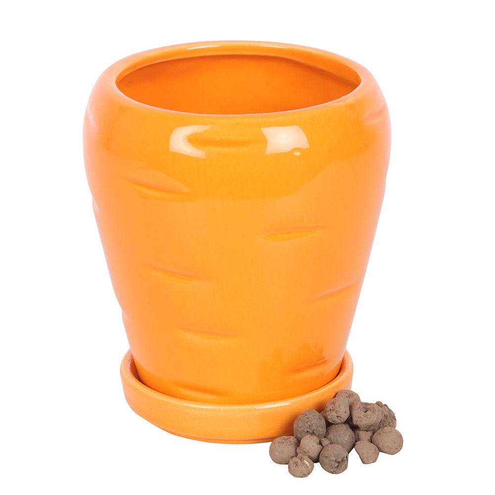 Carrot Patch Plant Pot with Parsley Seed Balls