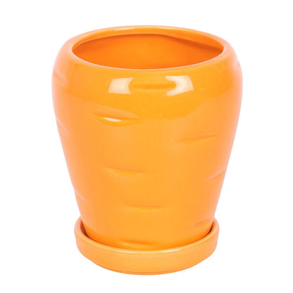 Carrot Patch Plant Pot with Parsley Seed Balls