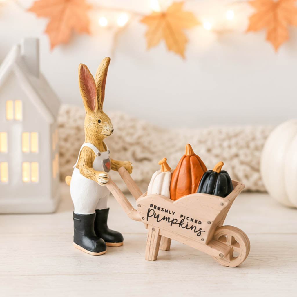 Freshly Picked Pumpkins Wheelbarrow Jasper Rabbit